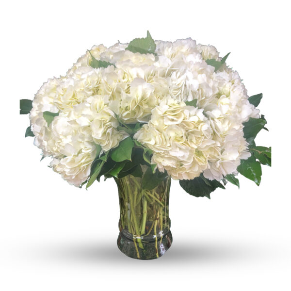 Jackie O | Funeral Flowers Roswell