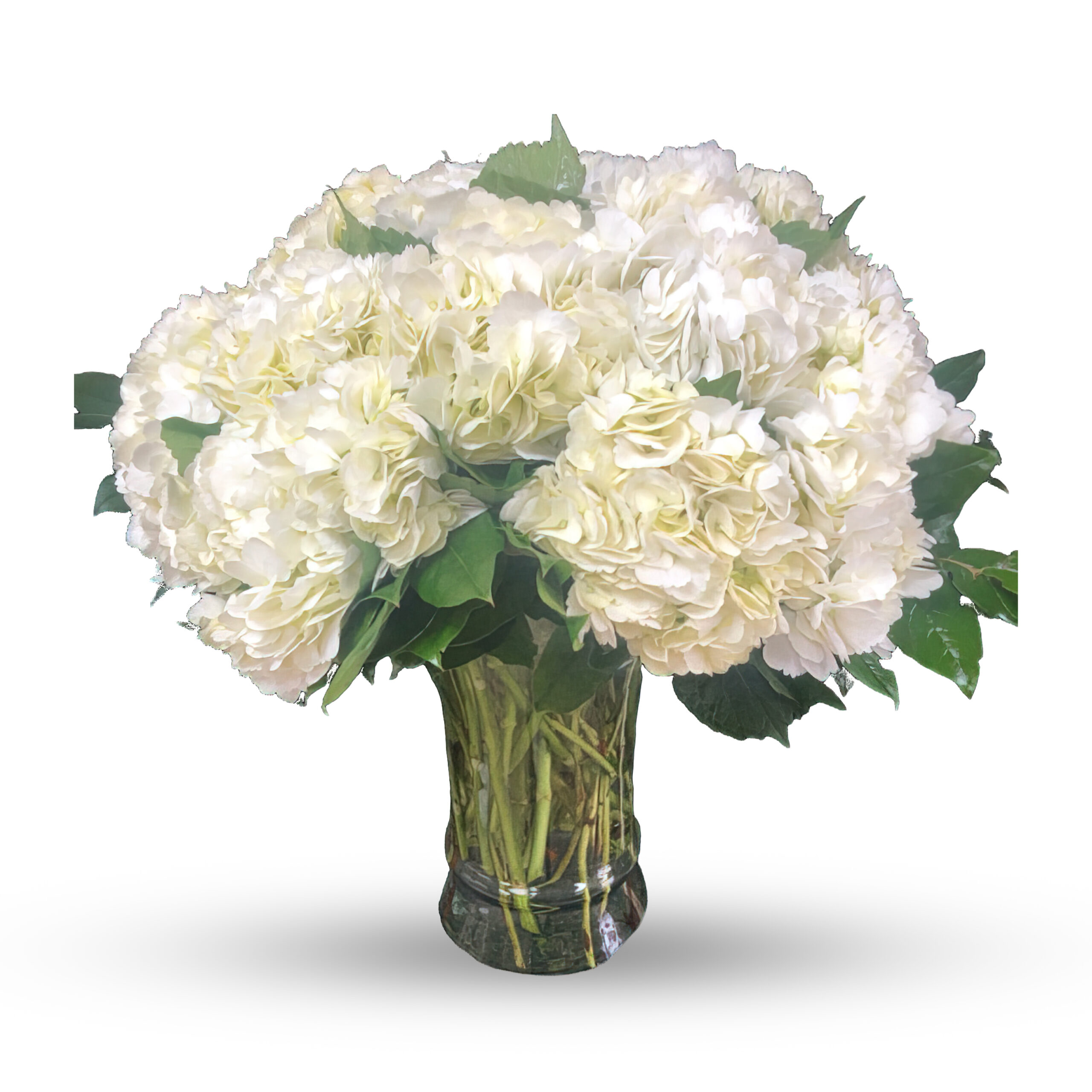Jackie O | Funeral Flowers Roswell