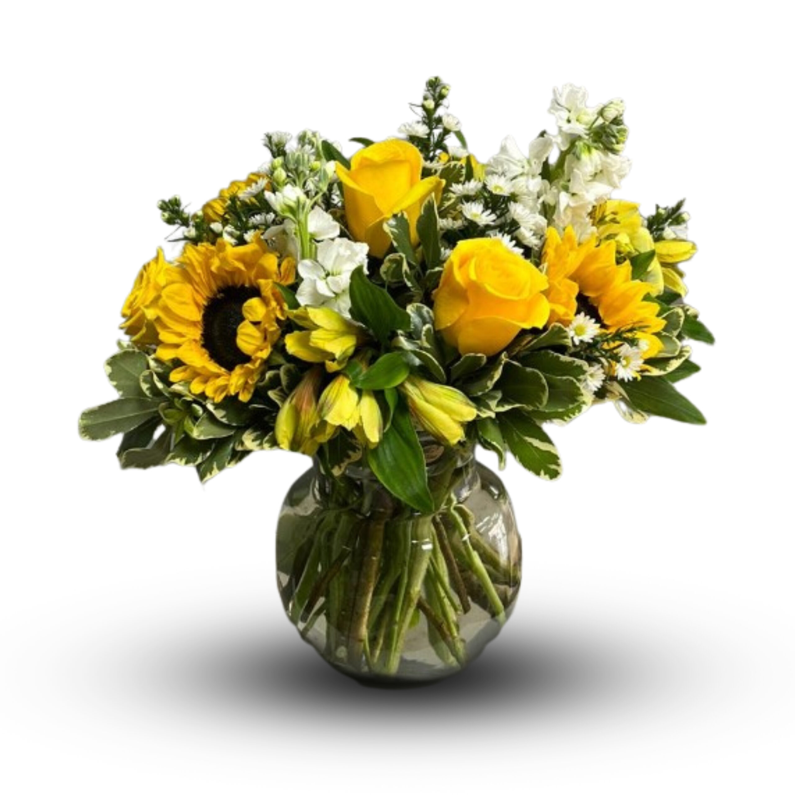 Sunshine Daydream | Flowers Roswell