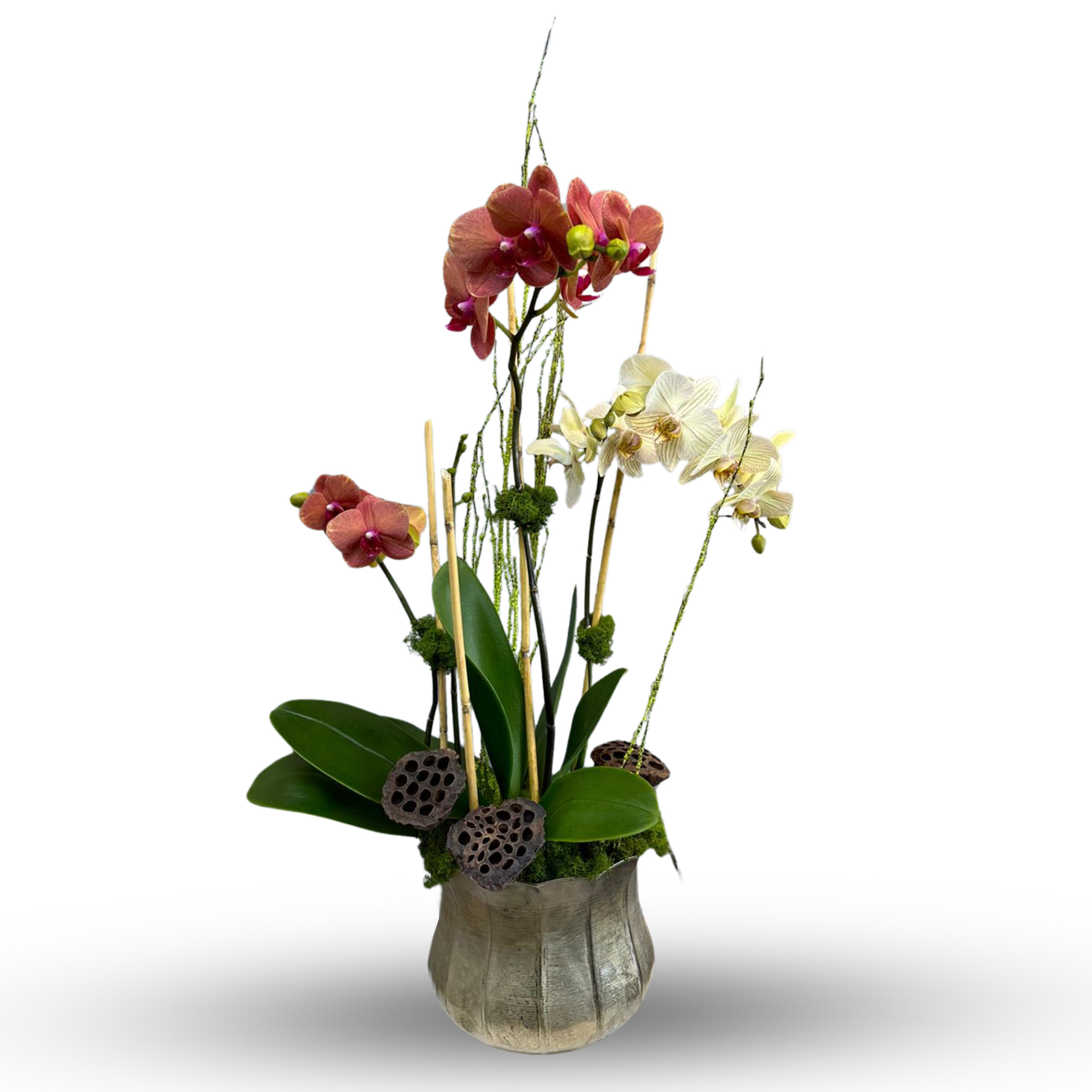 Orchid Garden | Roswell Flower Delivery