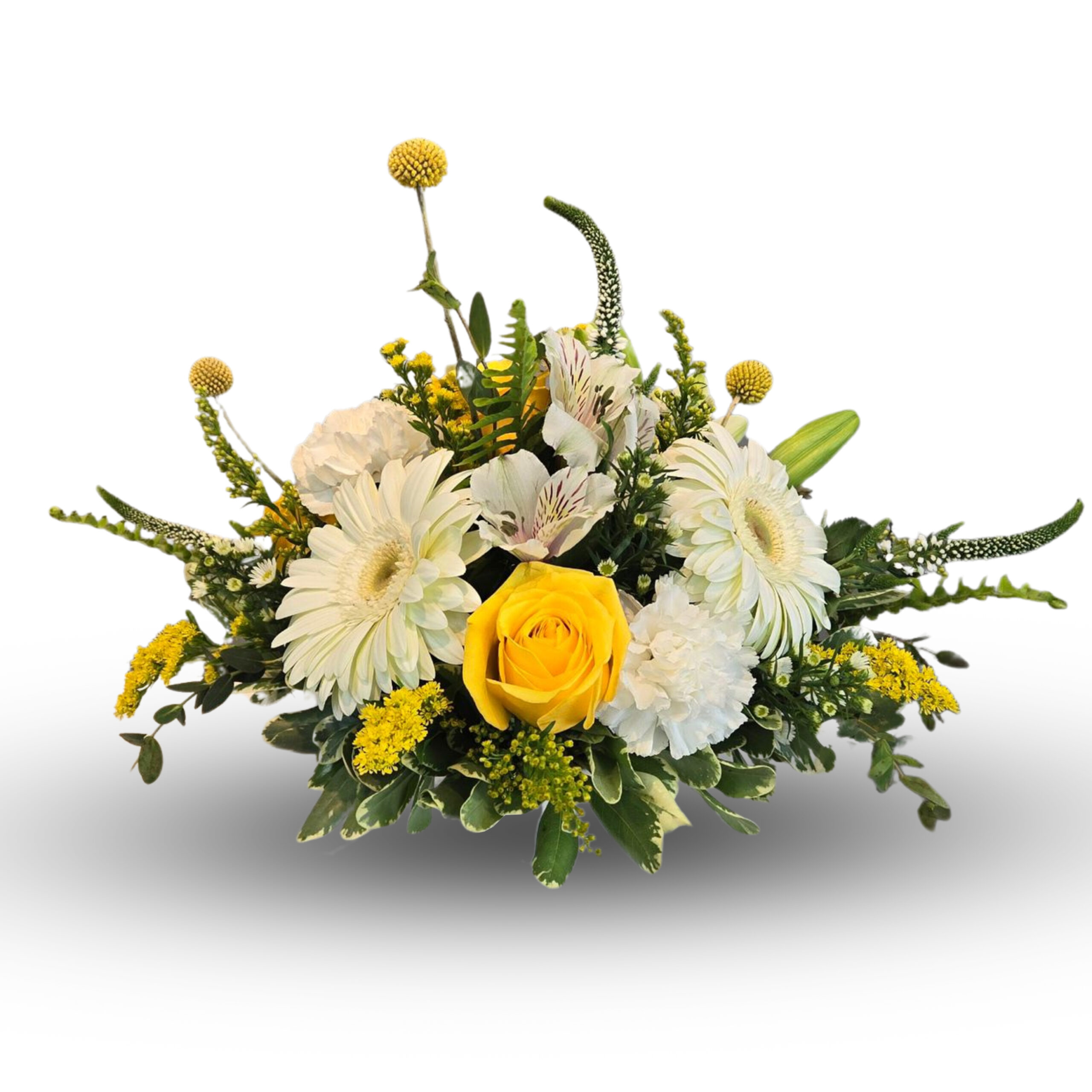 Gasparilla | Roswell Flower Delivery